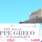 peppe greco 2018