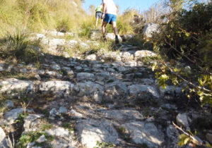 Trail running monterosso